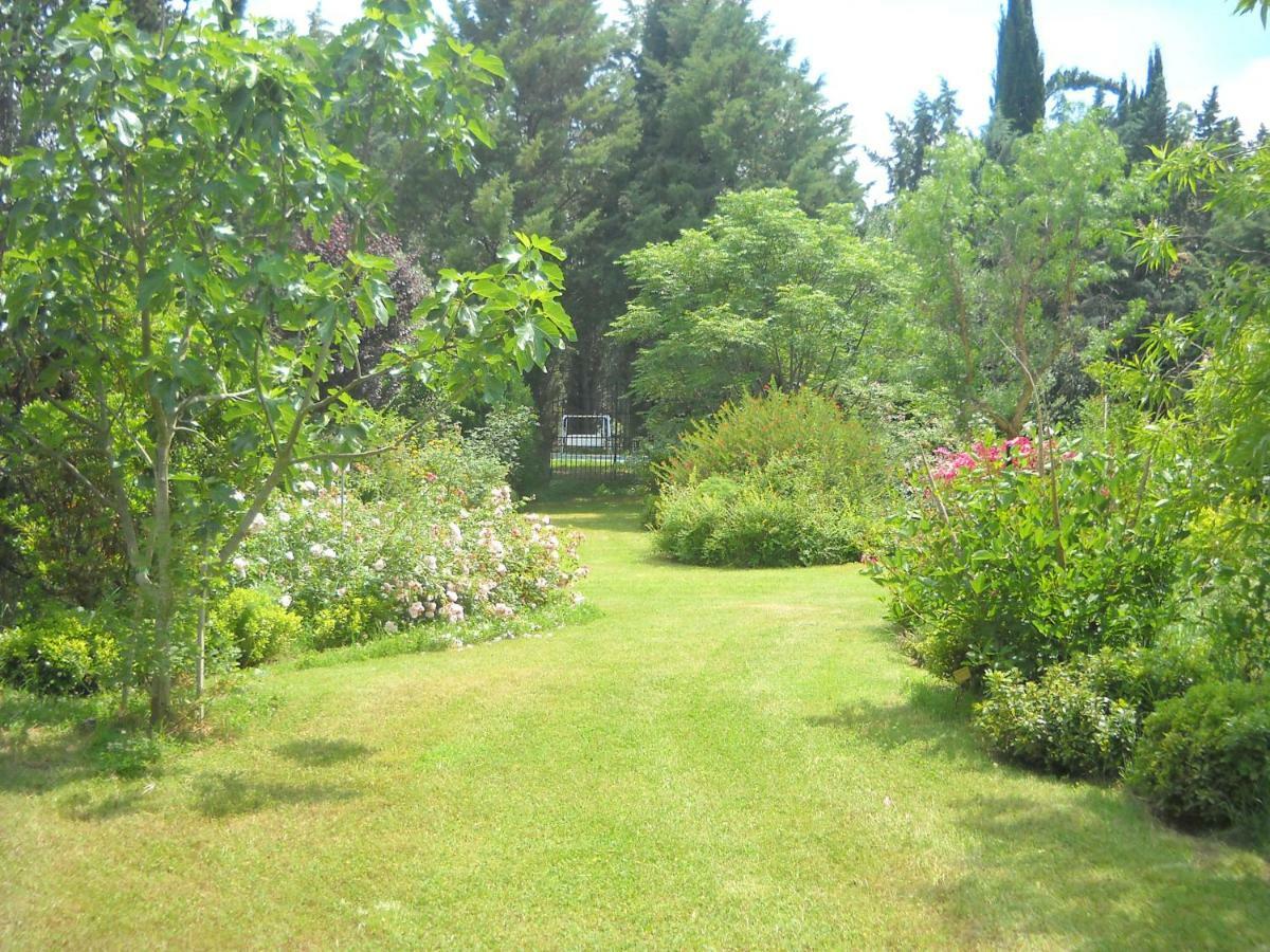 Villa Marrucheto Giuncarico Exterior foto