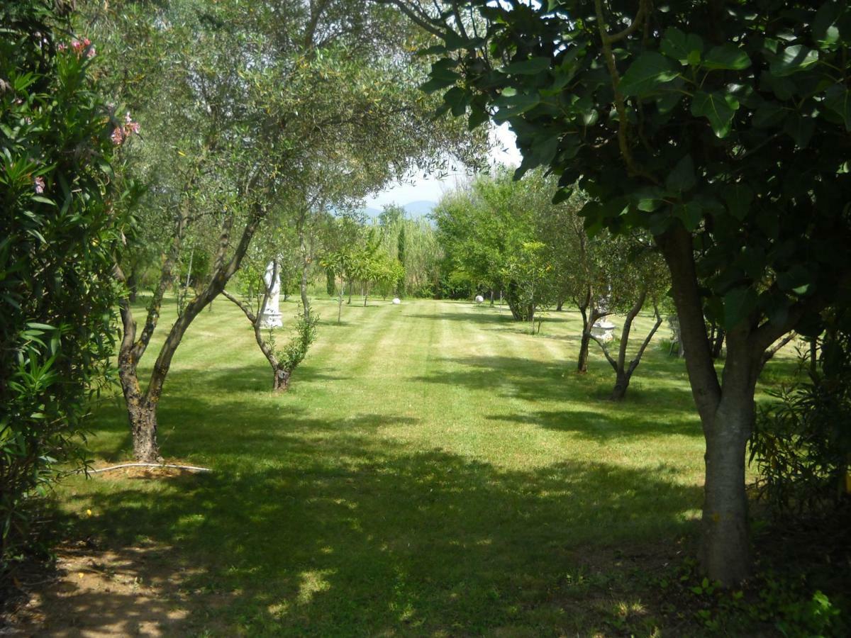 Villa Marrucheto Giuncarico Exterior foto